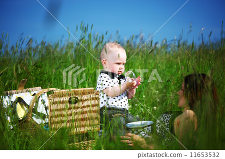 family picnic family picnic 11653532