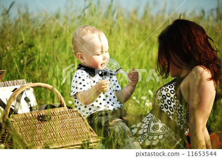 family picnic family picnic 11653544