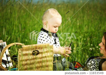 family picnic family picnic 11653549