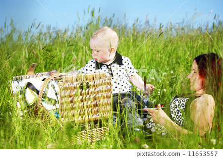 family picnic family picnic 11653557