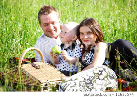 family picnic family picnic 11653574