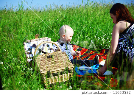 family picnic family picnic 11653582