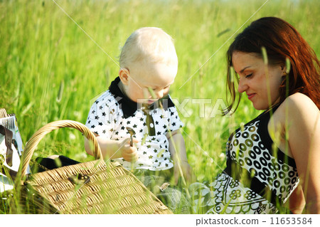 family picnic family picnic 11653584