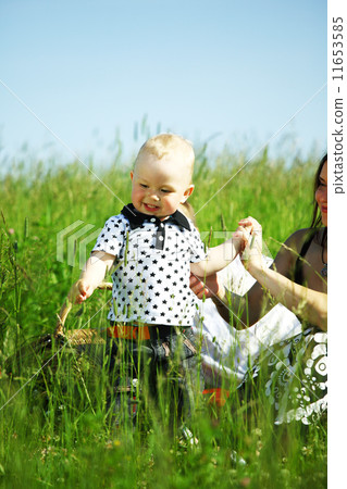 family picnic family picnic 11653585