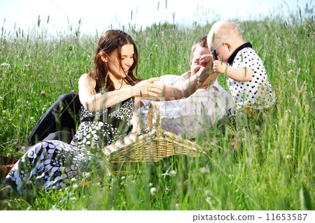 family picnic family picnic 11653587