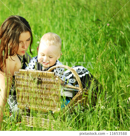 family picnic 11653588