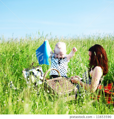family picnic family picnic 11653590