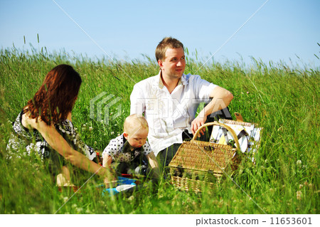 family picnic family picnic 11653601