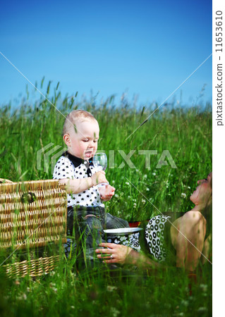 family picnic family picnic 11653610