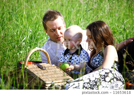 family picnic family picnic 11653618
