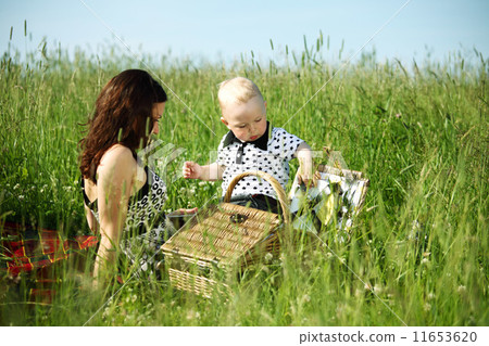 family picnic family picnic 11653620