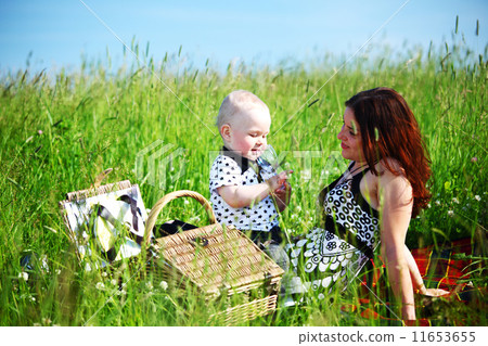 family picnic family picnic 11653655