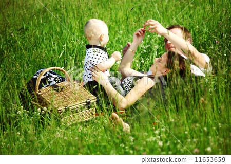 family picnic family picnic 11653659