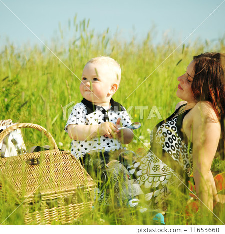 family picnic family picnic 11653660