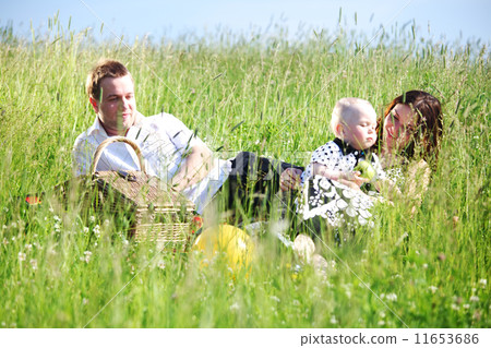 family picnic family picnic 11653686