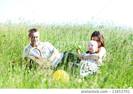 family picnic family picnic 11653701