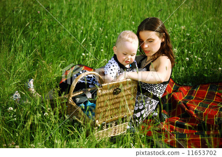 family picnic family picnic 11653702