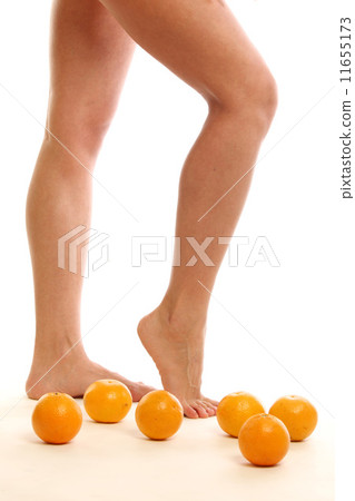 leg oranges leg oranges 11655173