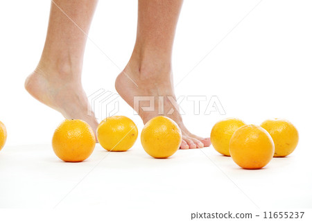 leg oranges 11655237