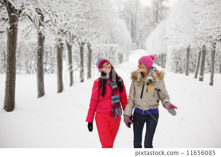 winter walking 11656085