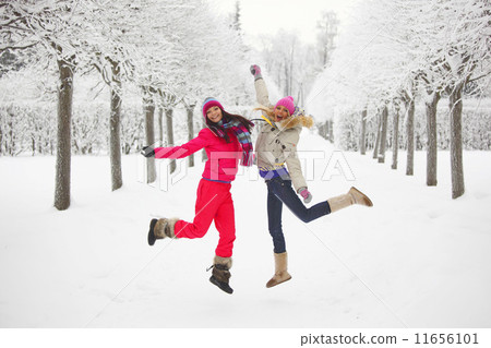 winter walking 11656101