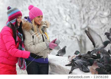 pigeon eat pigeon eat 11656160