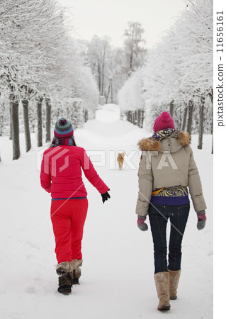 winter walking winter walking 11656161