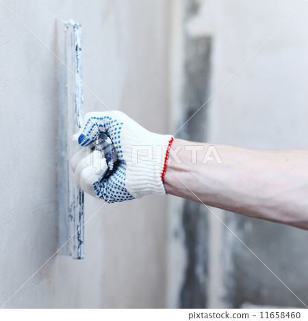 aligns wall 11658460