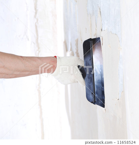 aligns wall aligns wall 11658524