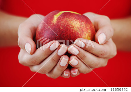 peach in woman hands 11659562