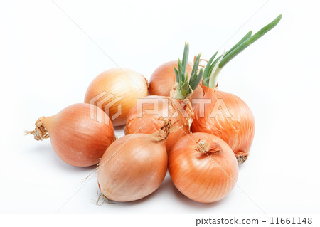 Fresh bulbs of onion on a white background Fresh bulbs of onion on a white background 11661148