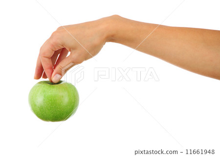 apple in woman hands apple in woman hands 11661948