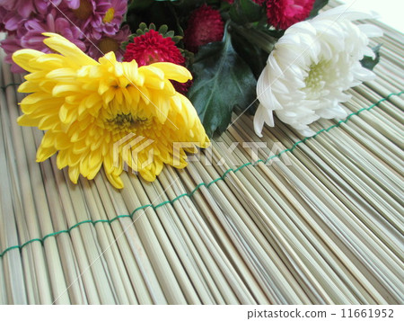 盂蘭盆節圖像Makoto（Makomo）和水療中心 11661952