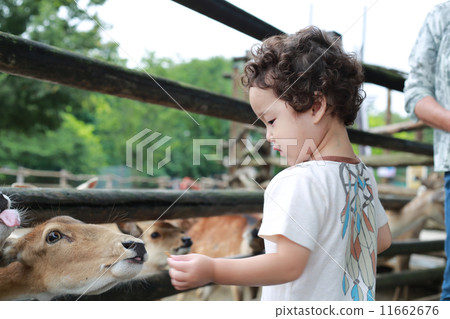 Contact with animals Contact with animals 11662676