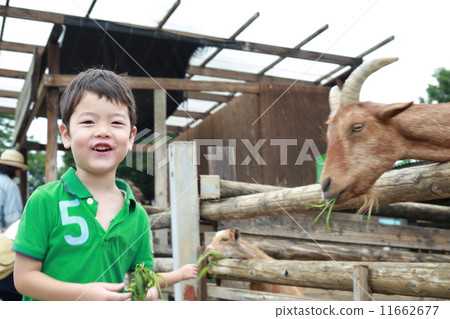 Contact with animals 11662677