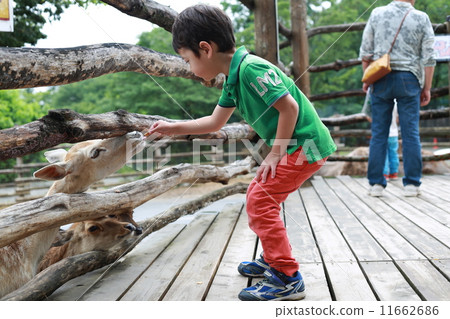 Contact with animals 11662686