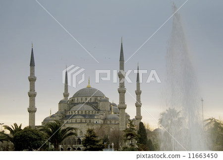 Sultanahmet mosque and a fountain 11663450