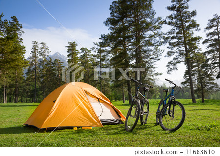 camping camping 11663610
