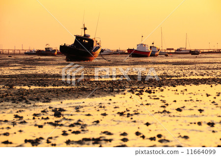 Tideland and ship at dusk time Tideland and ship at dusk time 11664099
