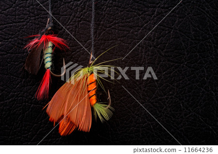 woblers woblers 11664236