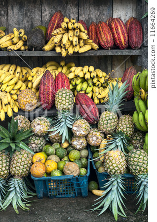 Latin America Fruit street market, Ecuador Latin America Fruit street market, Ecuador 11664269