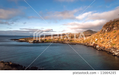 San Cristobal Island and Kicker Rock/Leon Dormido, Galapagos 11664285