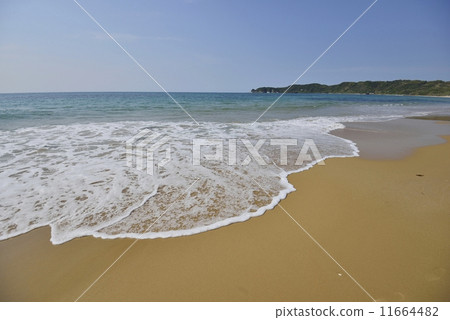 Kinkehama Kinkehama 11664482