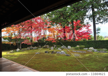 Yenji Temple Garden 2011 11664621