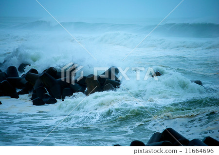 typhoon typhoon 11664696