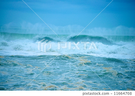 typhoon 11664708