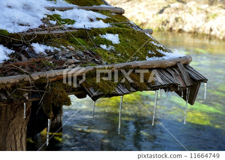 Azumino in early spring 11664749