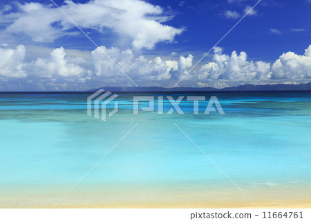 西濱海灘 西濱海灘 11664761