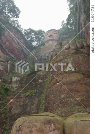 樂山大佛 11664782