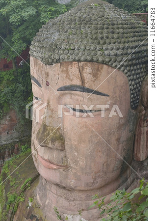 Leshan Buddha 11664783